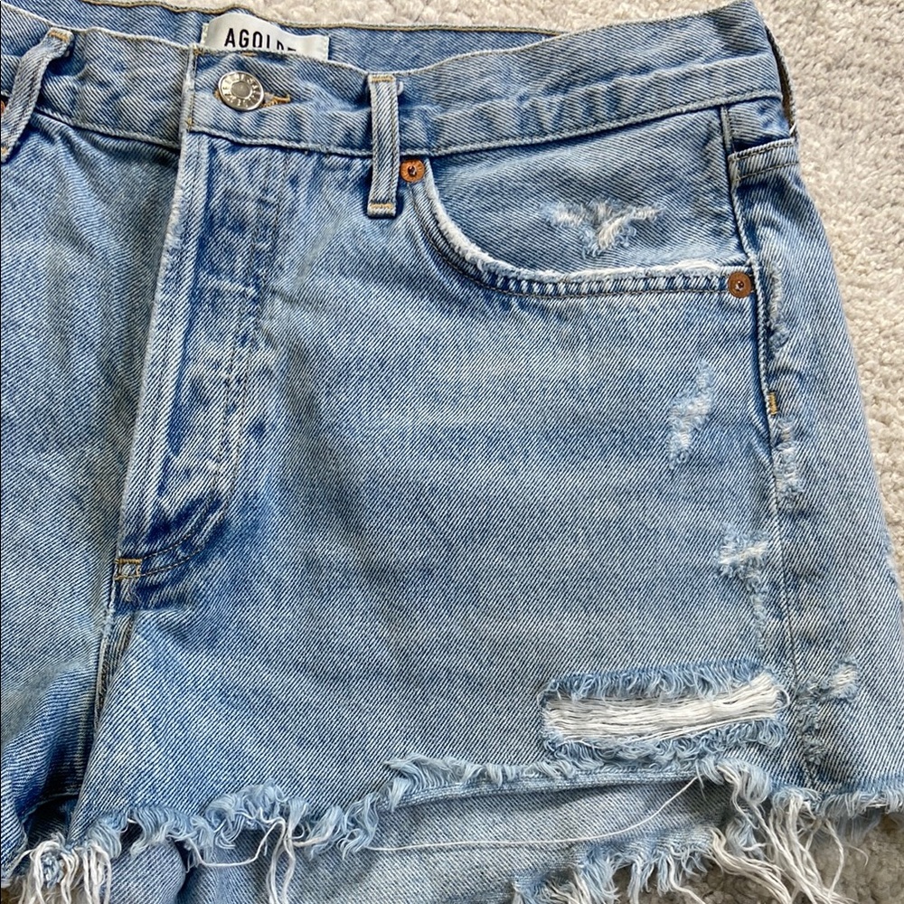 NOT FOR SALE Agolde Parker Vintage Cutoff Shorts - Picture 5 of 14